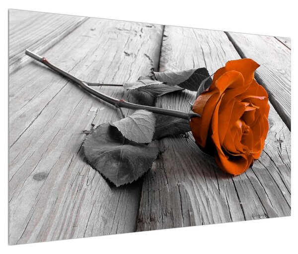 Obraz oranžové růže (120x80 cm)