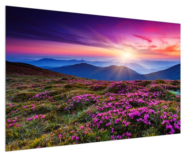 Obraz horské rozkvetlé krajiny (120x80 cm)