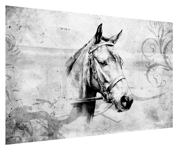 Obraz - portrét koně (120x80 cm)