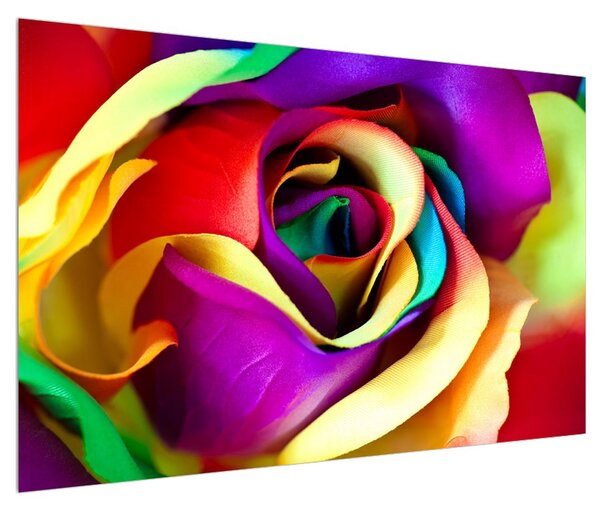 Barevný obraz abstraktní růže (120x80 cm)