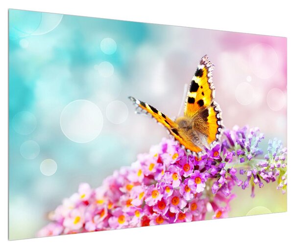 Obraz motýla na květech (120x80 cm)