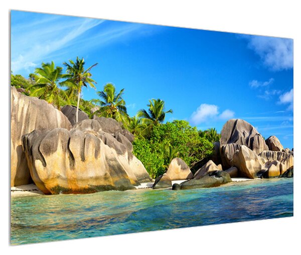 Obraz mořské pláže s palmami (120x80 cm)