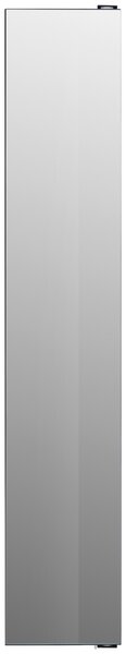 ZRCADLOVÁ SKŘÍŇKA, barvy stříbra, 29/158/9 cm MID.YOU - Koupelnové série, Online Only