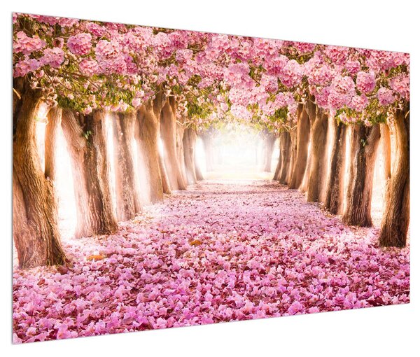 Obraz květinového chodníku (120x80 cm)