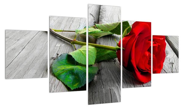 Obraz červené růže (125x70 cm)