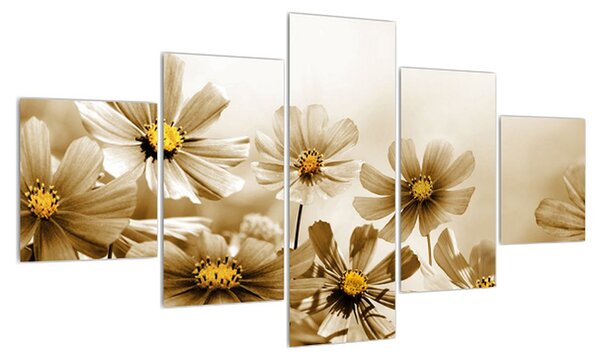 Obraz květů (125x70 cm)