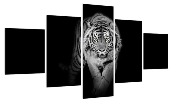 Černobílý obraz tygra (125x70 cm)