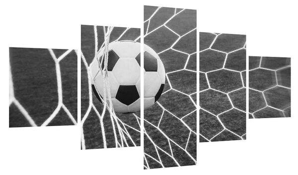 Fotbalový míč v síti (125x70 cm)