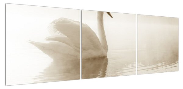 Obraz labutě (150x50 cm)