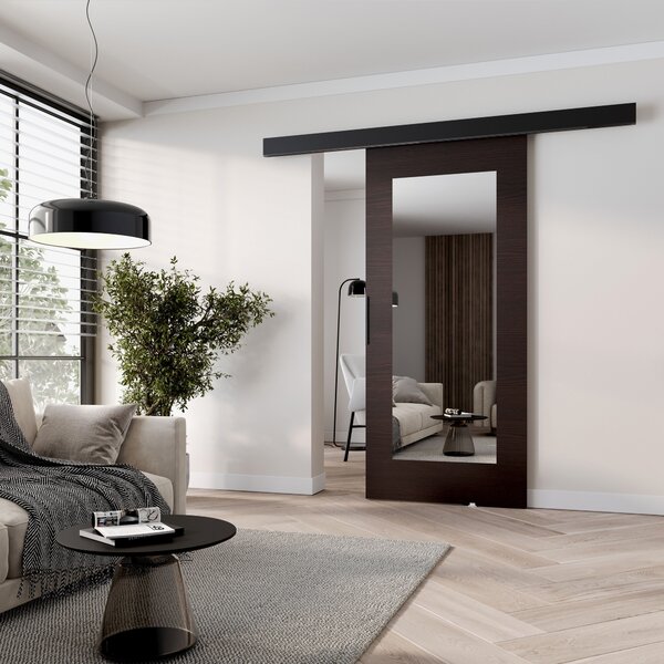 Posuvné dveře se zrcadlem BARRET 19 - 76 cm, wenge / černé
