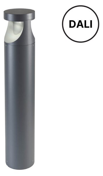 Redo REDO90503-DALI LED venkovní sloupek Dali XWalk integrovaný LED zdroj | 3280/2338 lm | 3000K