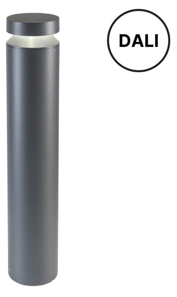 Redo REDO90505-DALI LED venkovní sloupek Dali XGrow integrovaný LED zdroj | 3017/1706 lm | 3000K