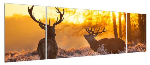 Obraz jelenů (170x50 cm)