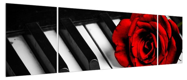 Obraz růže a klavíru (170x50 cm)