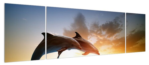 Obraz delfínů (170x50 cm)