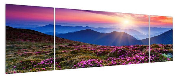Obraz horské rozkvetlé krajiny (170x50 cm)