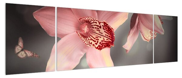 Obraz květů a motýla (170x50 cm)