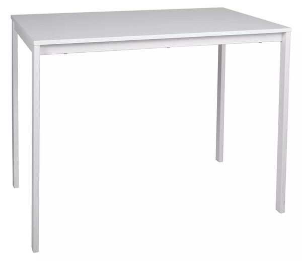 Jídelní stůl 100x60 ERION - bílý
