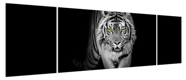 Černobílý obraz tygra (170x50 cm)