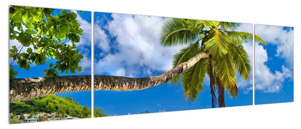 Obraz palmy a pláže (170x50 cm)