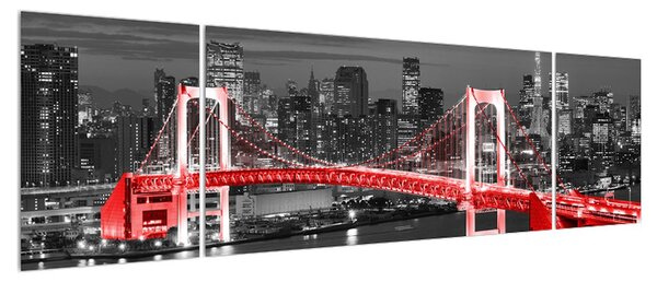 Moderní obraz mostu (170x50 cm)