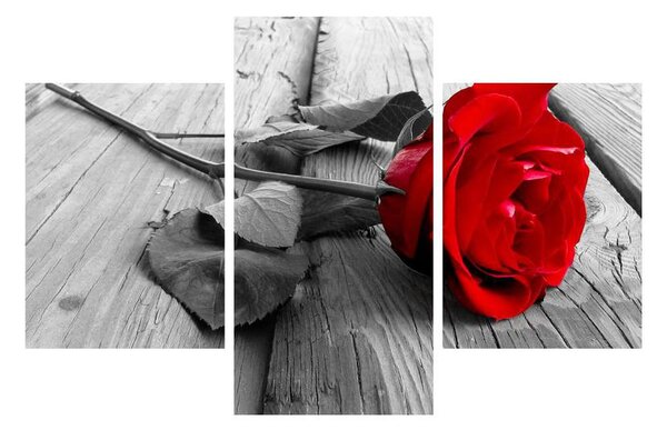 Obraz rudé růže (90x60 cm)