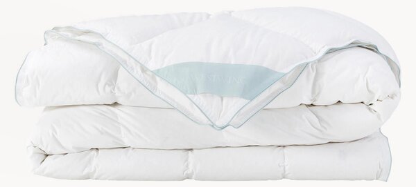 Péřová přikrývka Comfort, celoroční