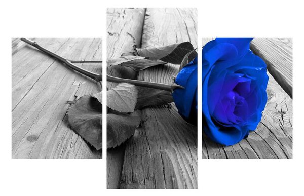 Obraz modré růže (90x60 cm)