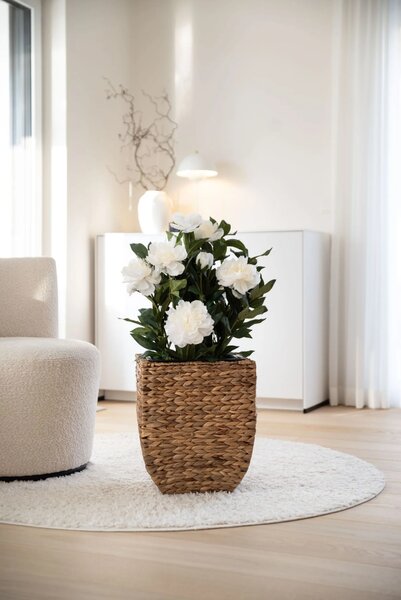 Květináč ASIA, vodní hyacint, výška 40 cm, natur, outlet