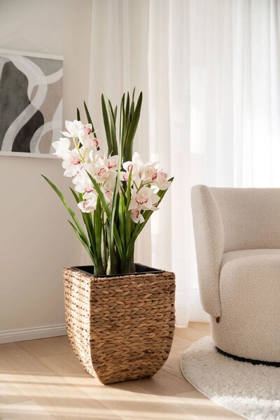 Květináč ASIA, vodní hyacint, výška 40 cm, natur, outlet