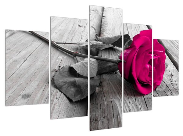 Obraz růžové růže (150x105 cm)