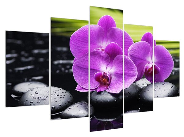 Obraz orchidejí (150x105 cm)