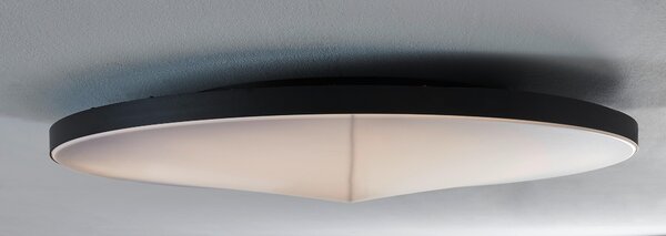STROPNÍ LED SVÍTIDLO, 79,5/10,5 cm Novel - Stropní svítidla
