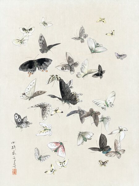 Obrazová reprodukce Butterflies & Moths (1 of 2) - Katsushika Hokusai, (30 x 40 cm)