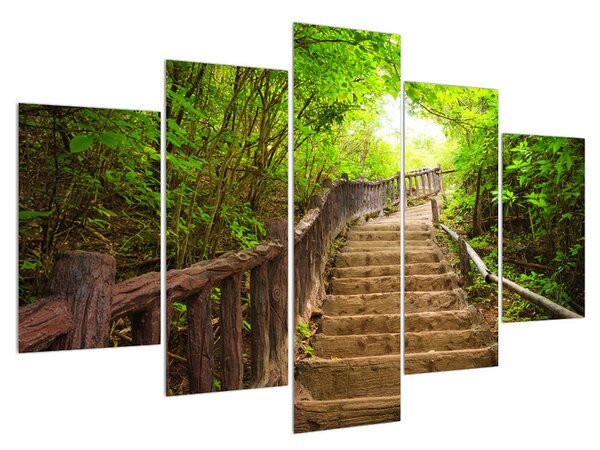 Letní obraz schodů v přírodě (150x105 cm)