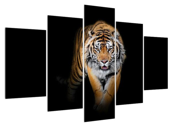 Obraz tygra (150x105 cm)