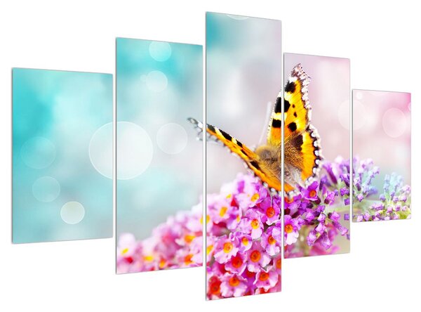Obraz motýla na květech (150x105 cm)