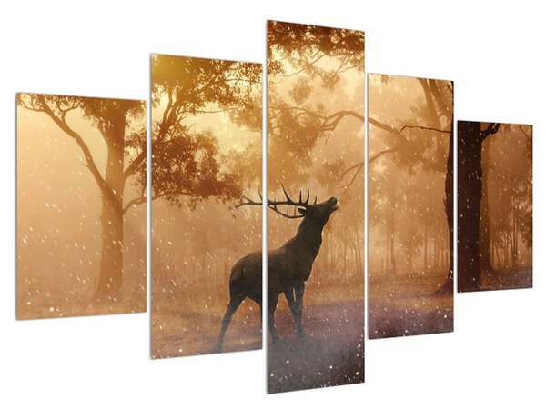 Obraz jelena v říji (150x105 cm)