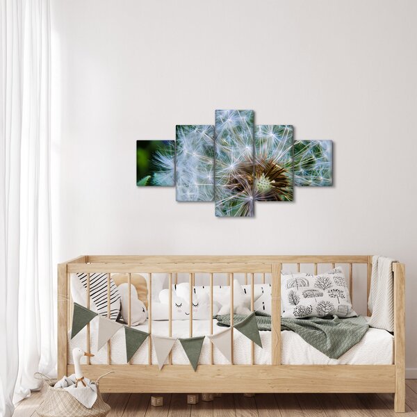 Obraz odkvetlé pampelišky (125x70 cm)
