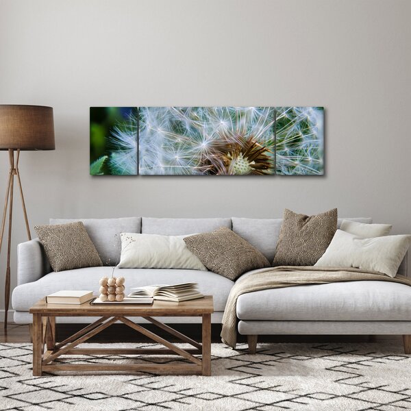 Obraz odkvetlé pampelišky (170x50 cm)