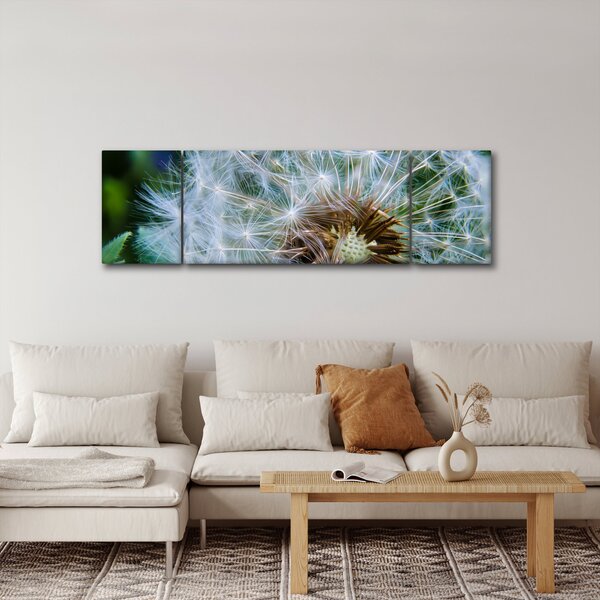 Obraz odkvetlé pampelišky (170x50 cm)