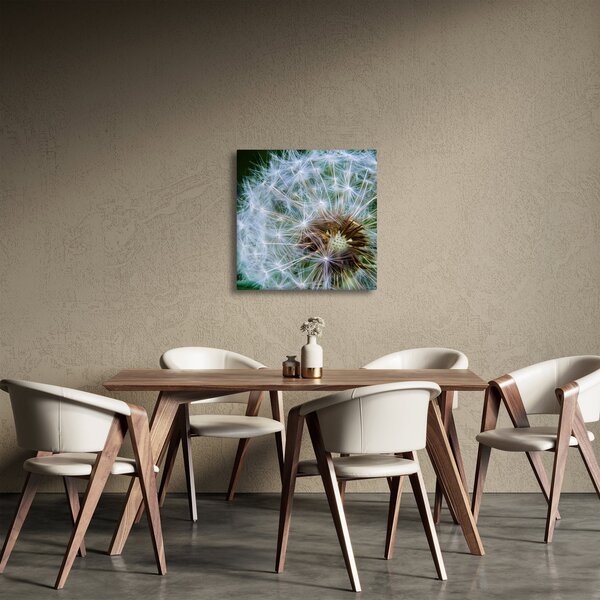 Obraz odkvetlé pampelišky (30x30 cm)