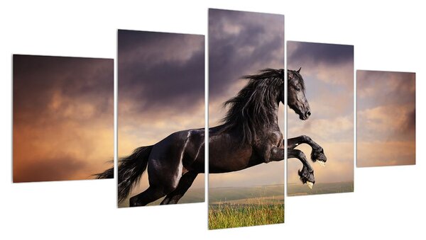Obraz koní (150x80 cm)