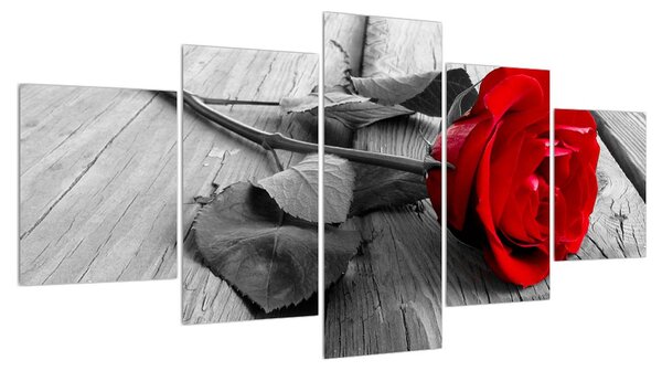 Obraz rudé růže (150x80 cm)