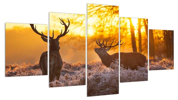 Obraz jelenů (150x80 cm)