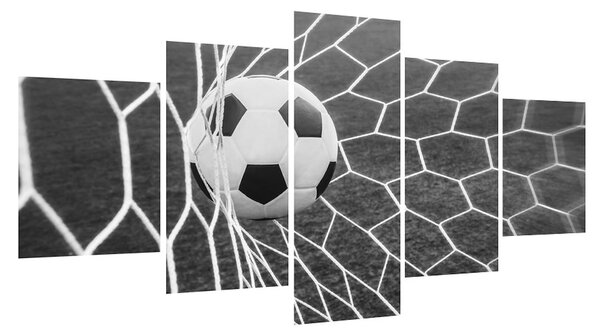 Fotbalový míč v síti (150x80 cm)