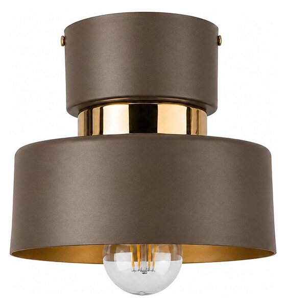 Stropní svítidlo IGNIA 1xE27/60W/230V hnědá/zlatá