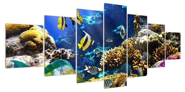 Obraz podmořského světa (210x100 cm)