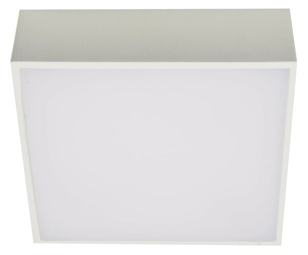 LED bodové světlo Falco 12 3000K bílé – Bílá