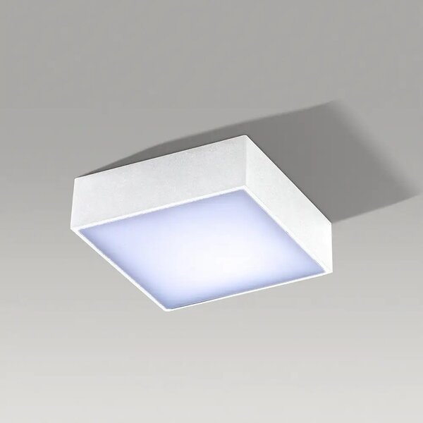 LED bodové světlo Falco 12 3000K bílé – Bílá